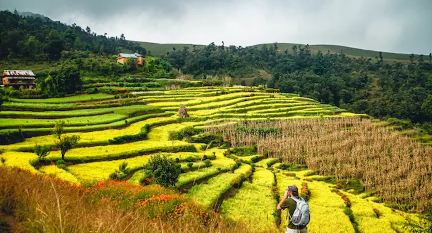 Best SEO Partner in Nepal?