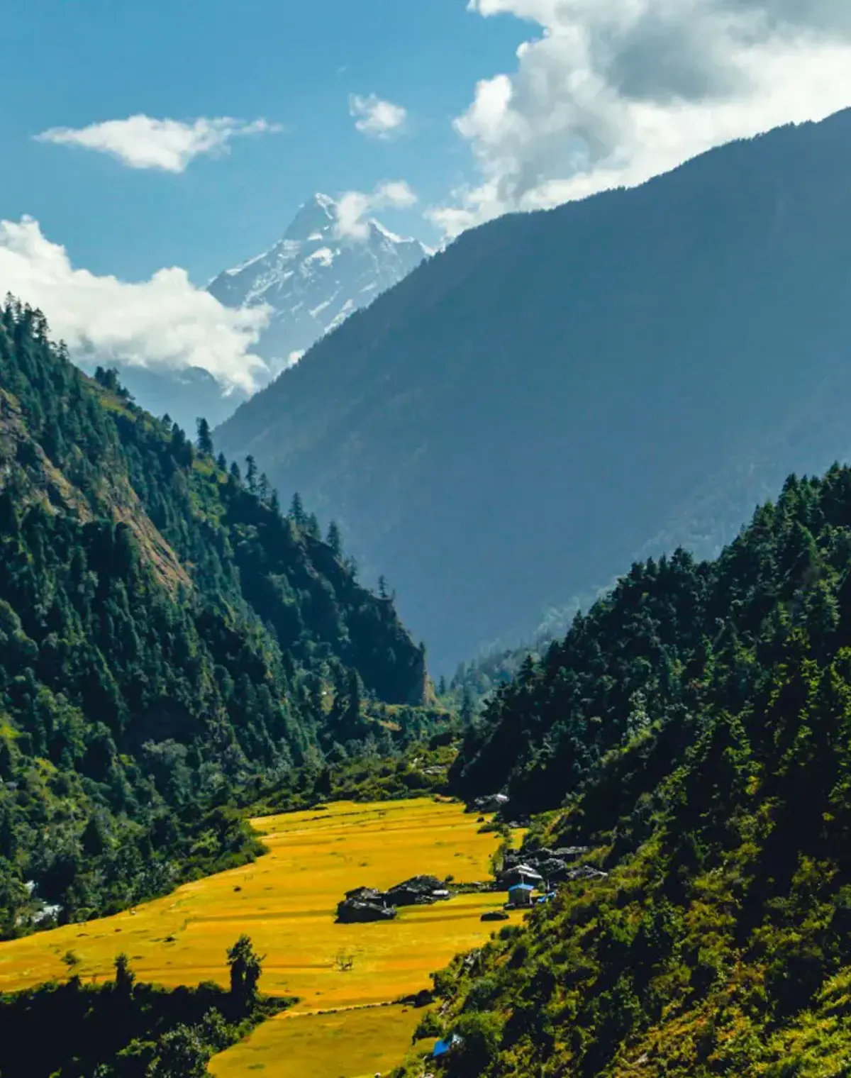 Sacred Tsum Valley