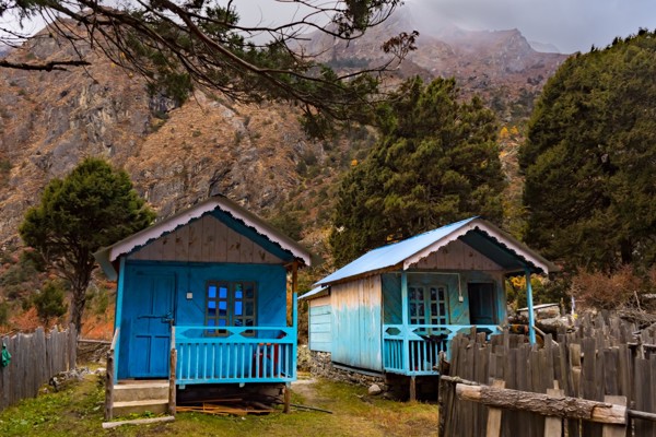 Homestay